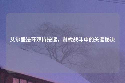 艾尔登法环双持按键，游戏战斗中的关键秘诀