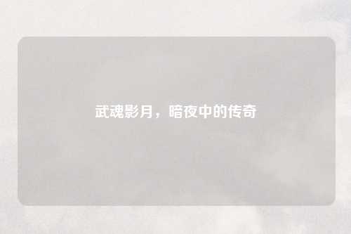 武魂影月，暗夜中的传奇