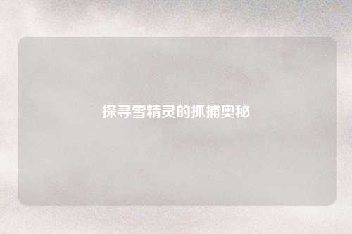 探寻雪精灵的抓捕奥秘