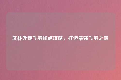 武林外传飞羽加点攻略，打造最强飞羽之路
