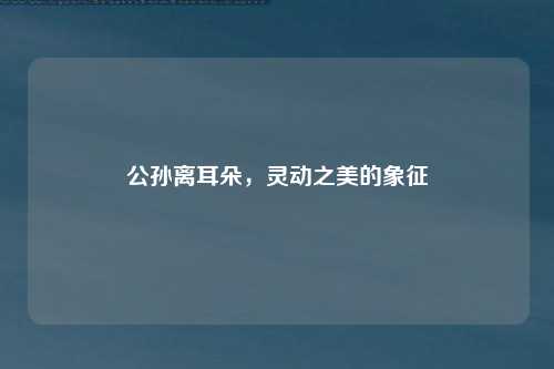 公孙离耳朵，灵动之美的象征