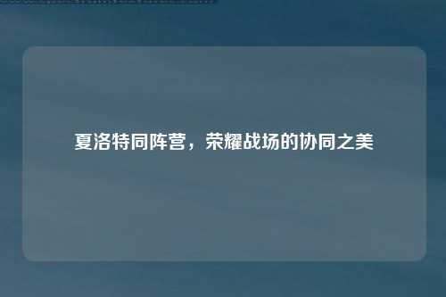 夏洛特同阵营，荣耀战场的协同之美
