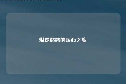 煤球憨憨的暖心之旅