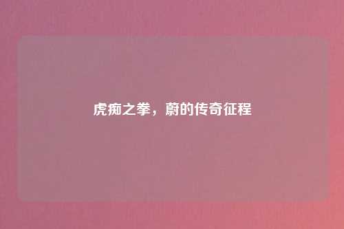 虎痴之拳，蔚的传奇征程