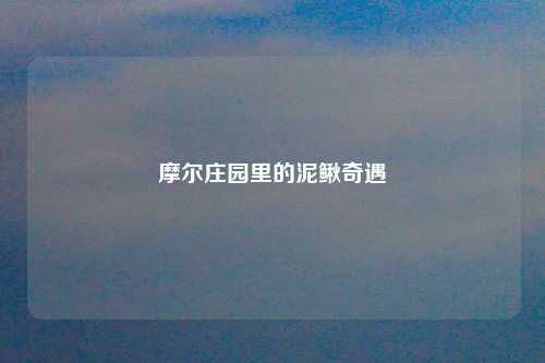 摩尔庄园里的泥鳅奇遇