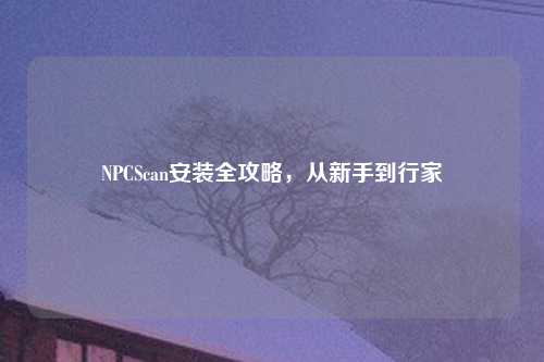 NPCScan安装全攻略，从新手到行家