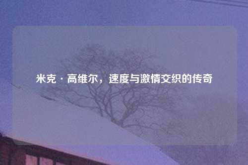 米克·高维尔，速度与激情交织的传奇