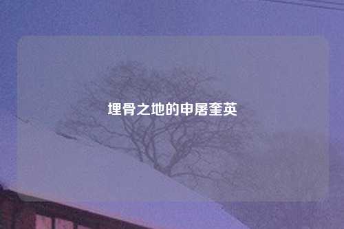 埋骨之地的申屠奎英