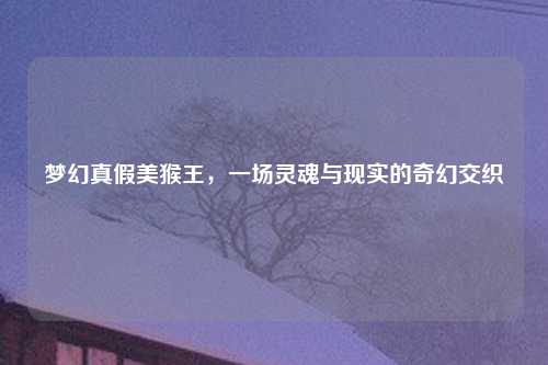 梦幻真假美猴王，一场灵魂与现实的奇幻交织