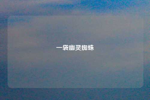 一袋幽灵蜘蛛