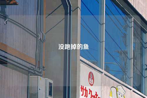 没跑掉的鱼