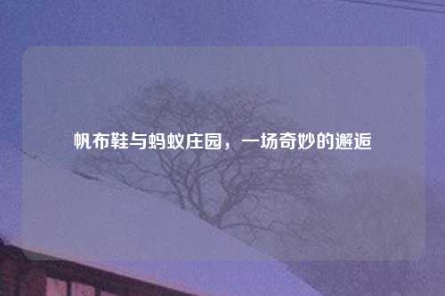 帆布鞋与蚂蚁庄园，一场奇妙的邂逅