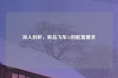 深入剖析，极品飞车11的配置要求