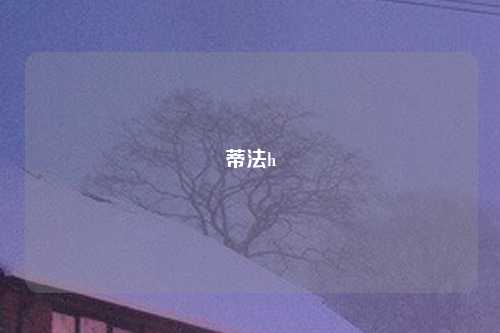 蒂法h
