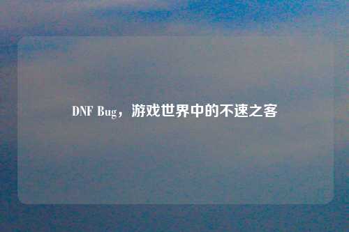 DNF Bug，游戏世界中的不速之客