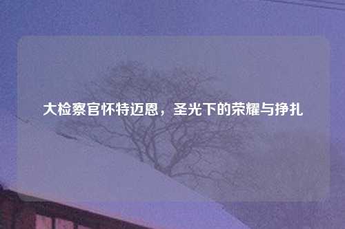 大检察官怀特迈恩，圣光下的荣耀与挣扎