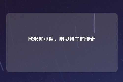 欧米伽小队，幽灵特工的传奇