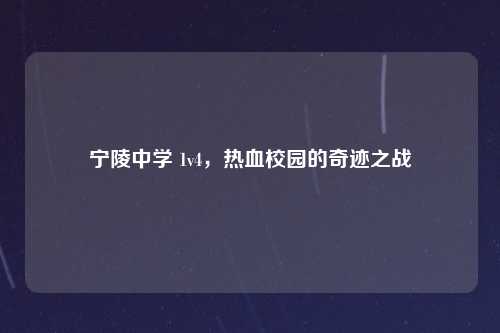 宁陵中学 1v4，热血校园的奇迹之战