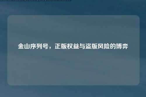 金山序列号，正版权益与盗版风险的博弈