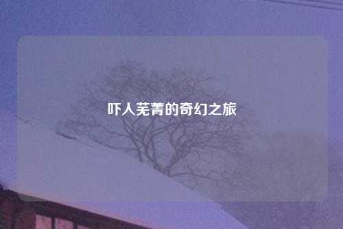 吓人芜菁的奇幻之旅