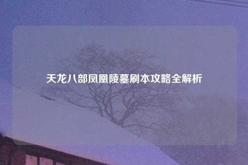 天龙八部凤凰陵墓刷本攻略全解析