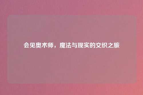 会见奥术师，魔法与现实的交织之旅