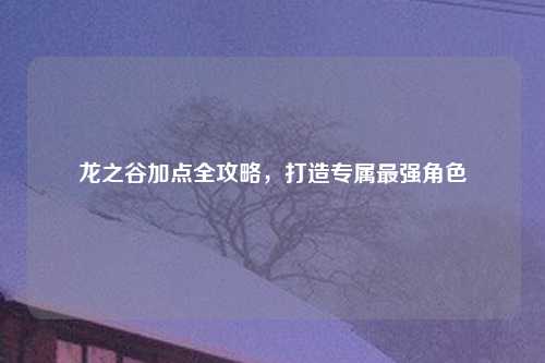 龙之谷加点全攻略，打造专属最强角色