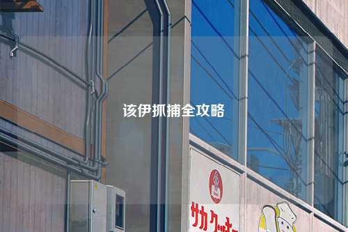 该伊抓捕全攻略