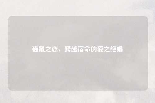 猫鼠之恋，跨越宿命的爱之绝唱