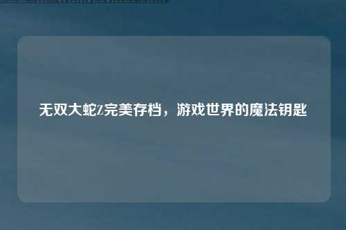 无双大蛇Z完美存档，游戏世界的魔法钥匙