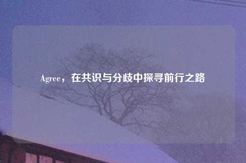 Agree，在共识与分歧中探寻前行之路