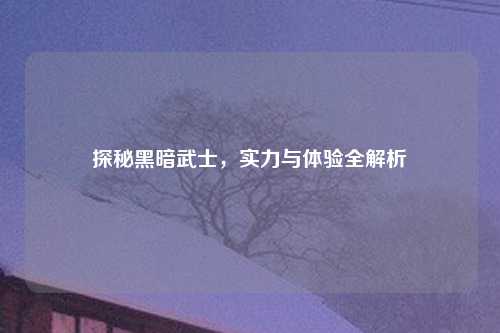 探秘黑暗武士，实力与体验全解析