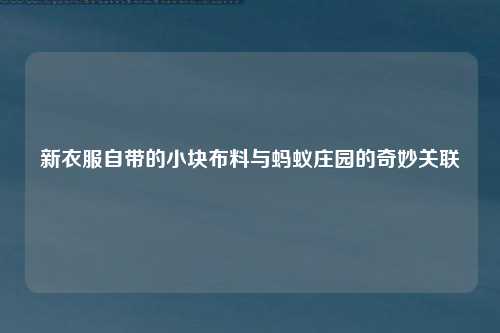 新衣服自带的小块布料与蚂蚁庄园的奇妙关联