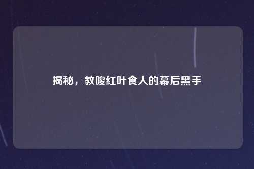 揭秘，教唆红叶食人的幕后黑手