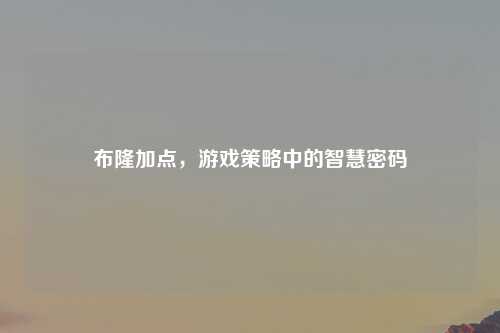 布隆加点，游戏策略中的智慧密码