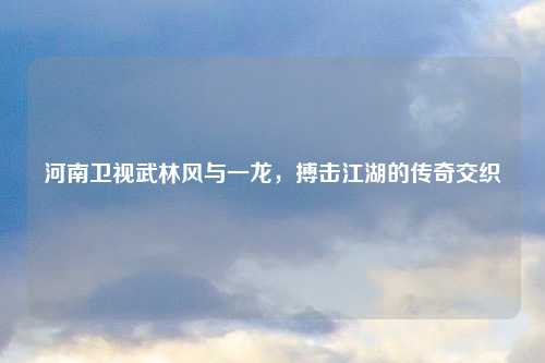 河南卫视武林风与一龙，搏击江湖的传奇交织